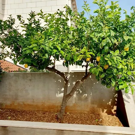 Luxury Apollo Apartament *