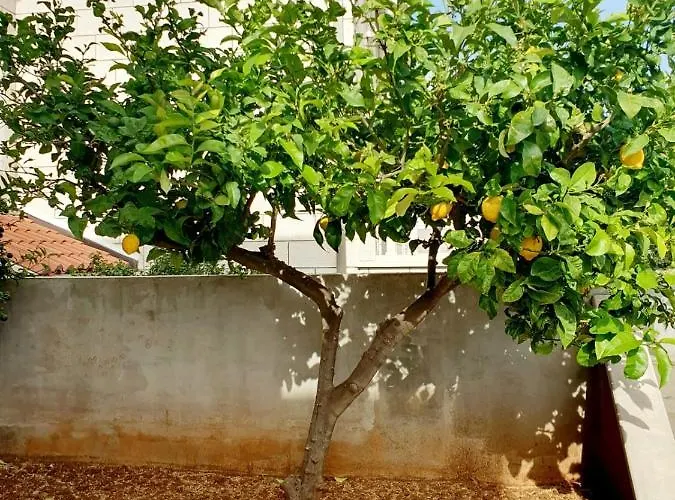 Luxury Apollo Lägenhet *